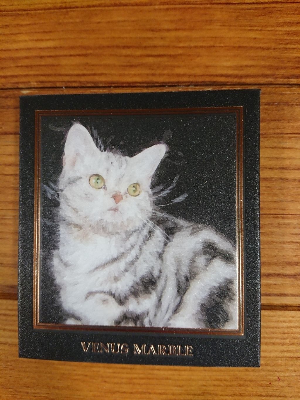 Venus Marble アイシャドウキャットシリーズ/Venus Marble/アイシャドウパレットを使ったクチコミ（1枚目）