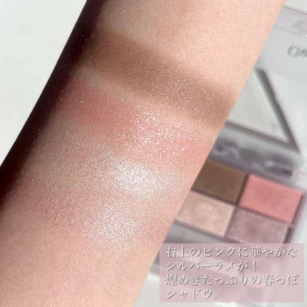 フェイスカラーパレット/チャコット・コスメティクス/アイシャドウパレットを使ったクチコミ(6枚目)