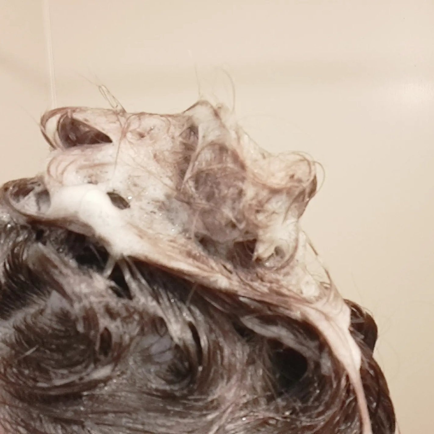 メロウシャンプー/メロウトリートメント/plus eau/市販シャンプーを使ったクチコミ(3枚目)