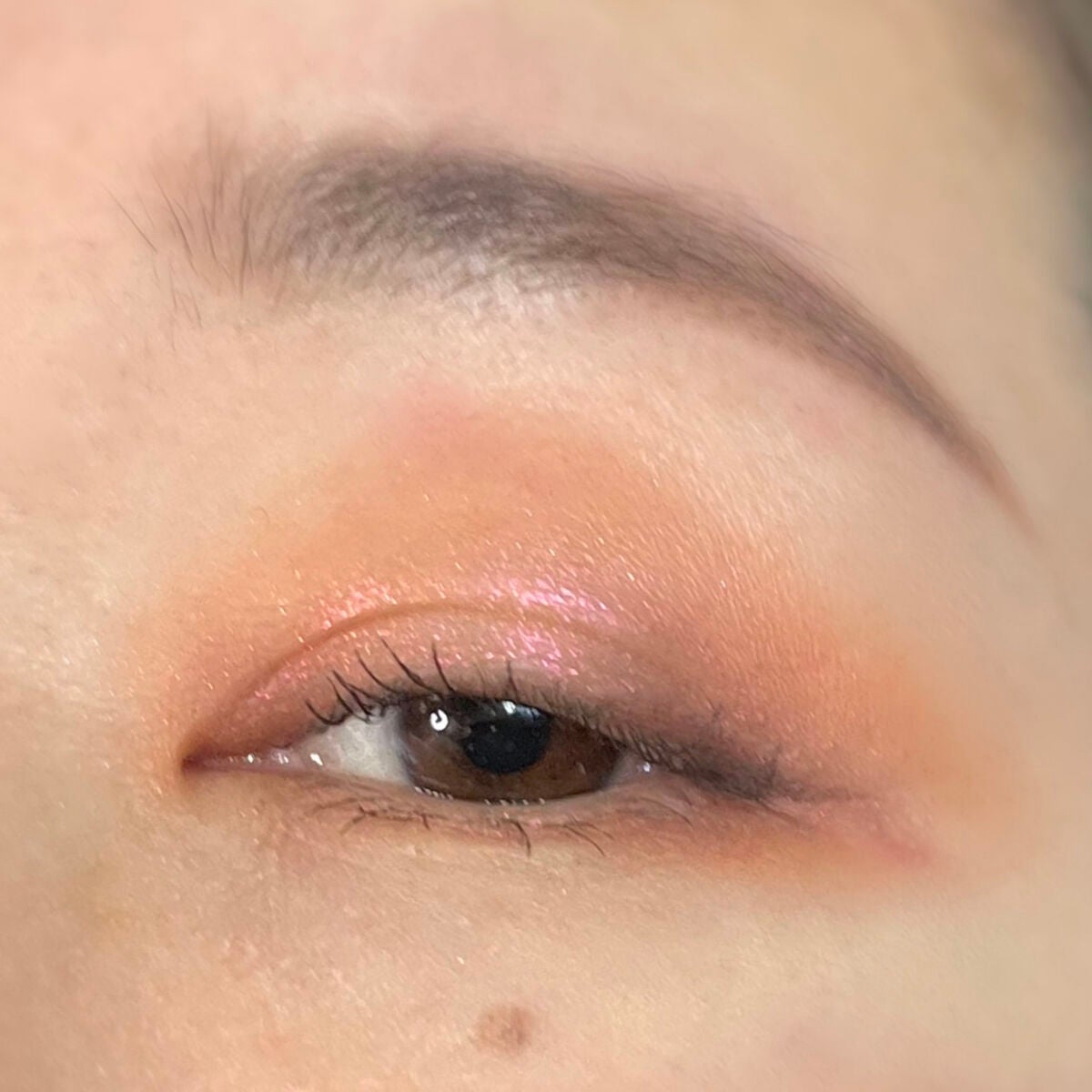 iridescent chameleon/terra moons/単色アイシャドウを使ったクチコミ(6枚目)