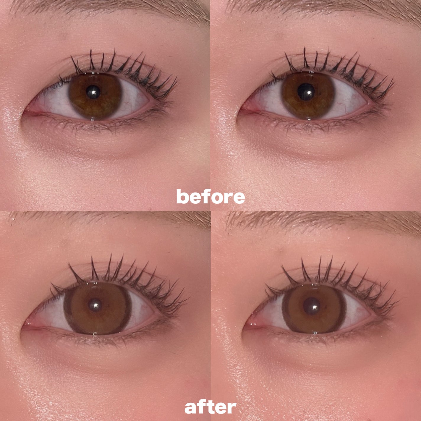 secretcandymagic 1day(シークレットキャンディーマジック)/secret candymagic/ワンデー(1DAY)カラコンを使ったクチコミ(2枚目)