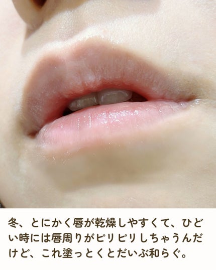 ドラマティックリップトリートメント/マキアージュ/リップクリームを使ったクチコミ(2枚目)