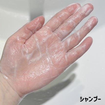 メロウシャンプー/メロウトリートメント/plus eau/市販シャンプーを使ったクチコミ(4枚目)