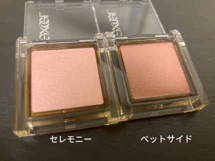 アイプランナー/excel/単色アイシャドウを使ったクチコミ(1枚目)