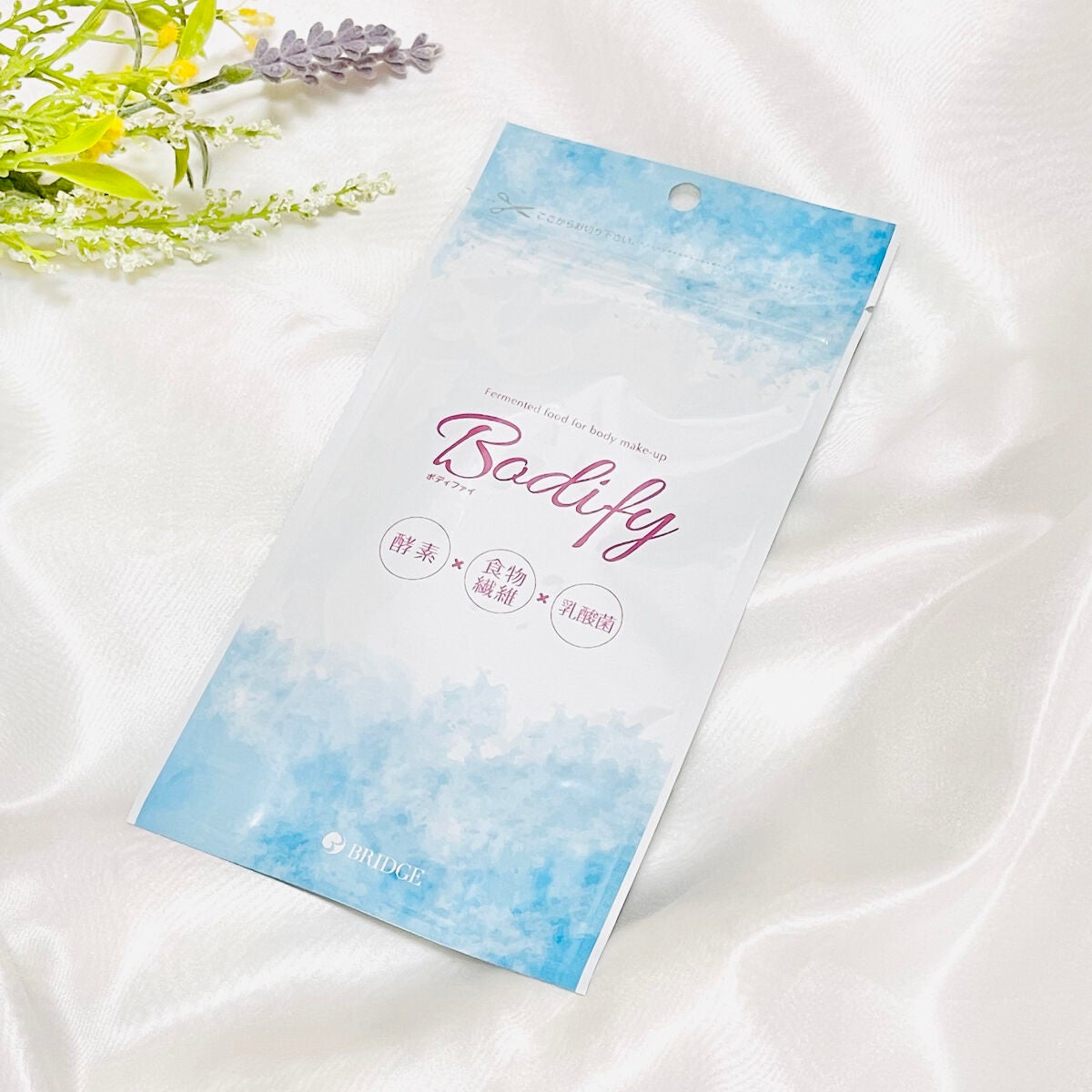 ボディファイ BRIDGE