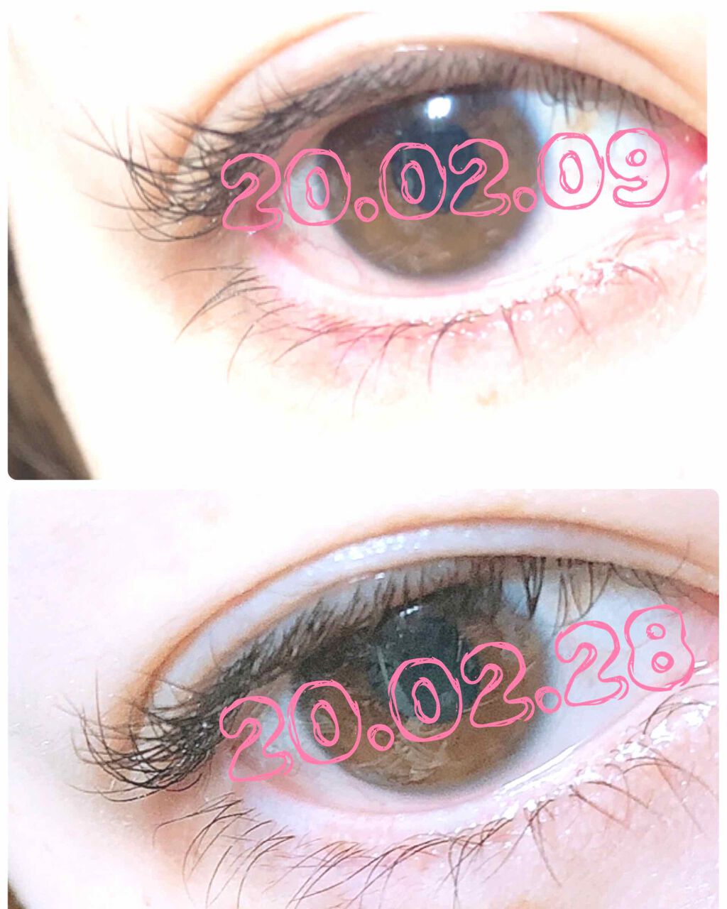 エグータム/アルマダスタイル/まつげ美容液を使ったクチコミ（2枚目）