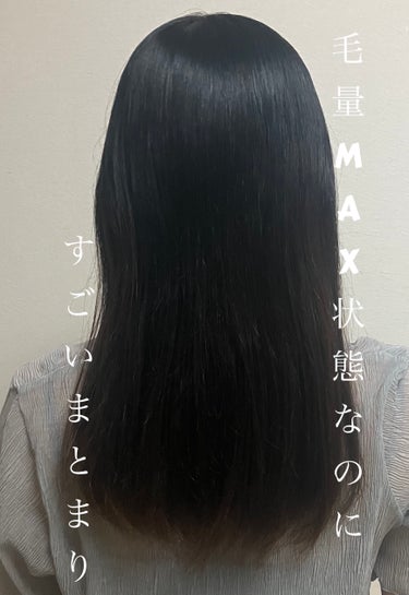 ハニーク ディープリペア シャンプー モイスト／ヘアトリートメント モイストのクチコミ「そろそろ毛量が増えてきたな😐
と思っていたこの時期にハニークのディープリペア シャンプー モイ.....」（1枚目）