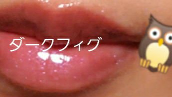 エッセンス リッププランパー/Visée/リッププランパーを使ったクチコミ(7枚目)