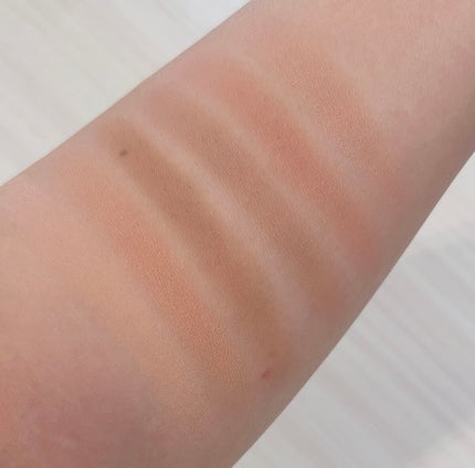 ブラーフィニシュシャドウパレット/Dinto/アイシャドウパレットを使ったクチコミ(3枚目)