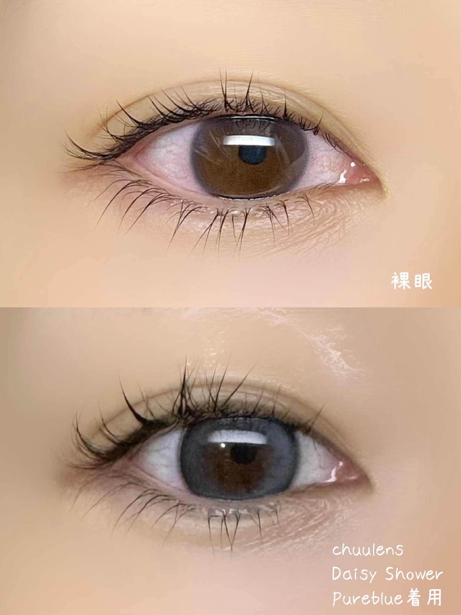 Daisy Shower 1Day/chuu LENS/ワンデー（１DAY）カラコンを使ったクチコミ（3枚目）