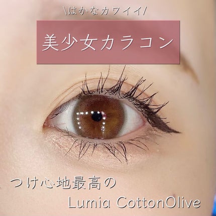 LuMia comfort 1day CIRCLE コットンオリーブ/LuMia/ワンデー(1DAY)カラコンを使ったクチコミ(1枚目)