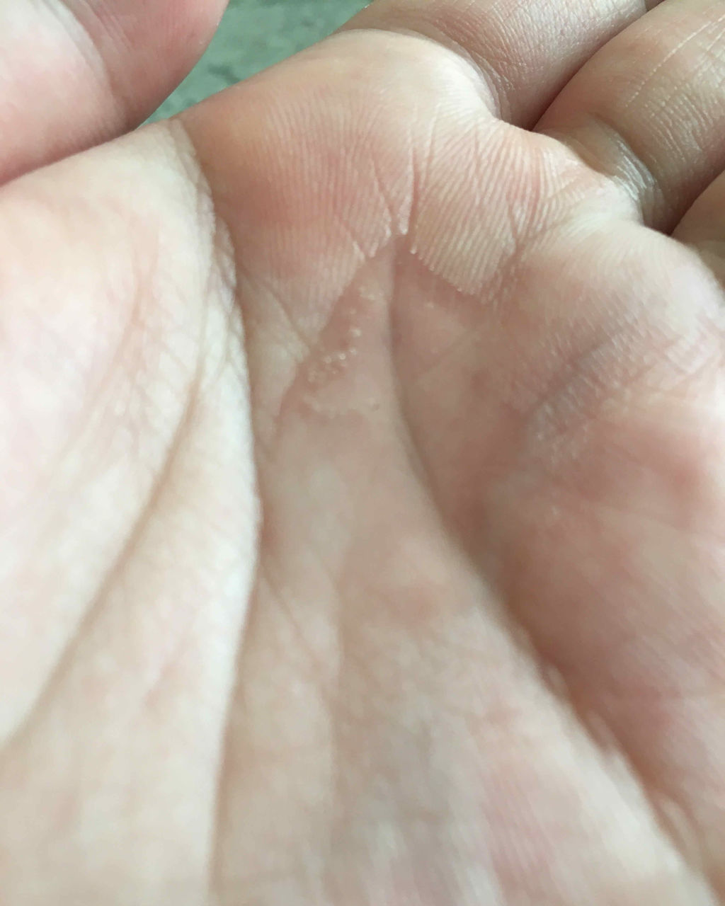 ヘアエッセンスディライトフルオイル 70ml / Hair Essence Delightful Oil 70ml/moremo/ヘアオイルを使ったクチコミ（3枚目）