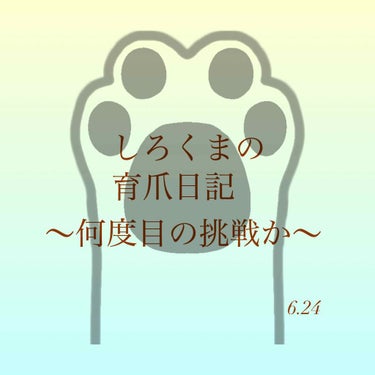 とてつもなくお久しぶりです、しろくまです🧸

就活やら自粛生活やらのストレス大爆発すぎて

育爪なんか無かったことに、、

もはやマイナスの日々でした🤢💭

そんな中、ついに気になってたセルフジェルネイ