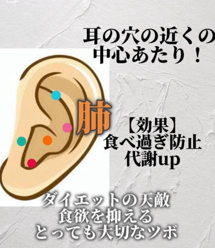 ツボ押しローラー /SASUKE/ボディグッズを使ったクチコミ(4枚目)