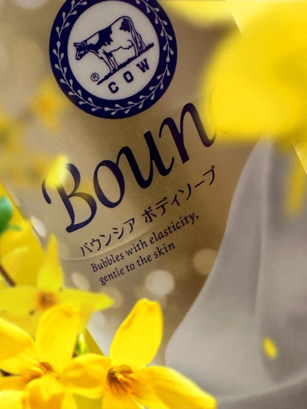 バウンシア ボディソープ ホワイトソープの香り/Bouncia/ボディソープを使ったクチコミ(1枚目)