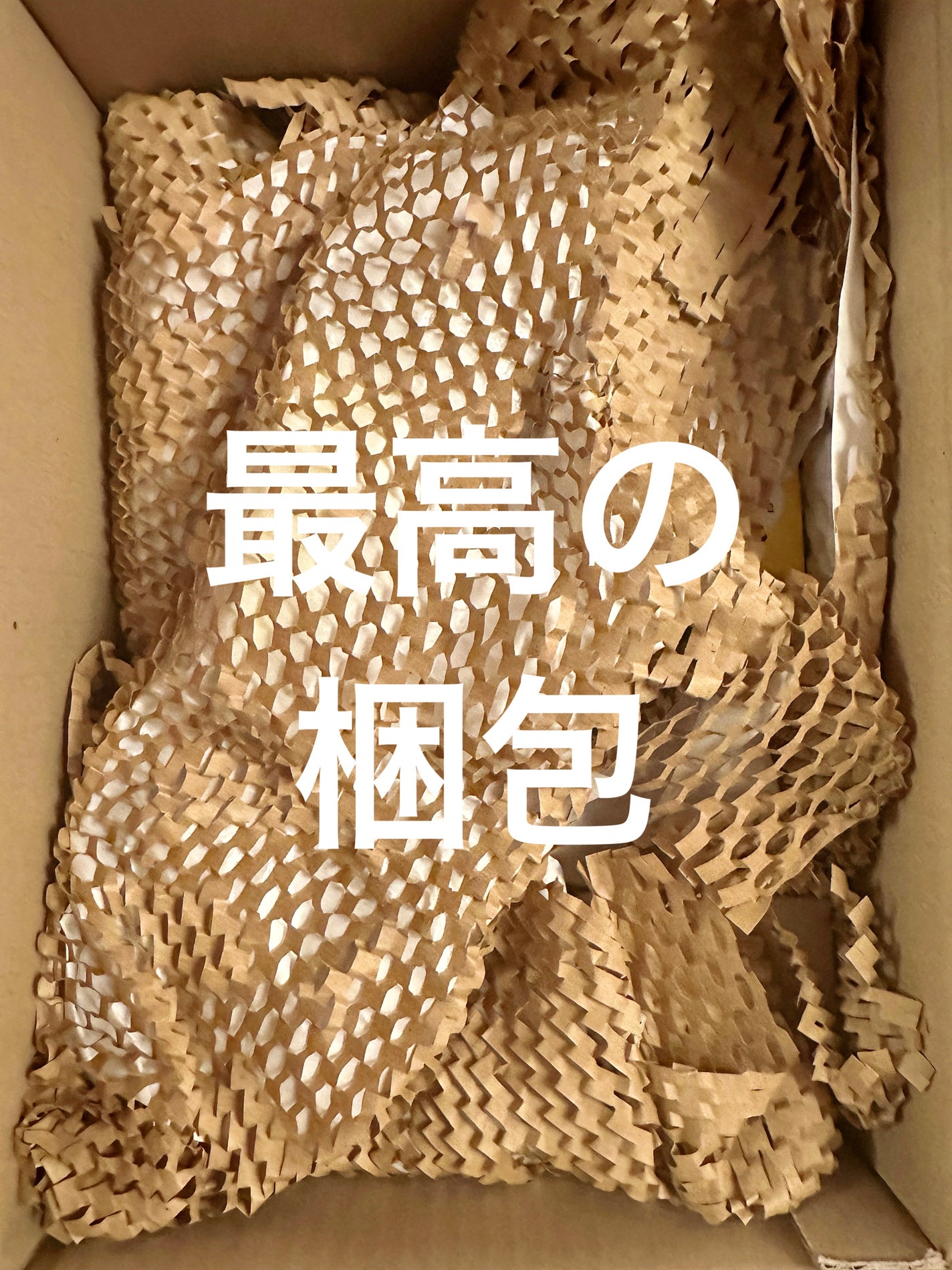 ノーウォッシュセラム トリートメント/Healing bird/ヘアオイルを使ったクチコミ(4枚目)