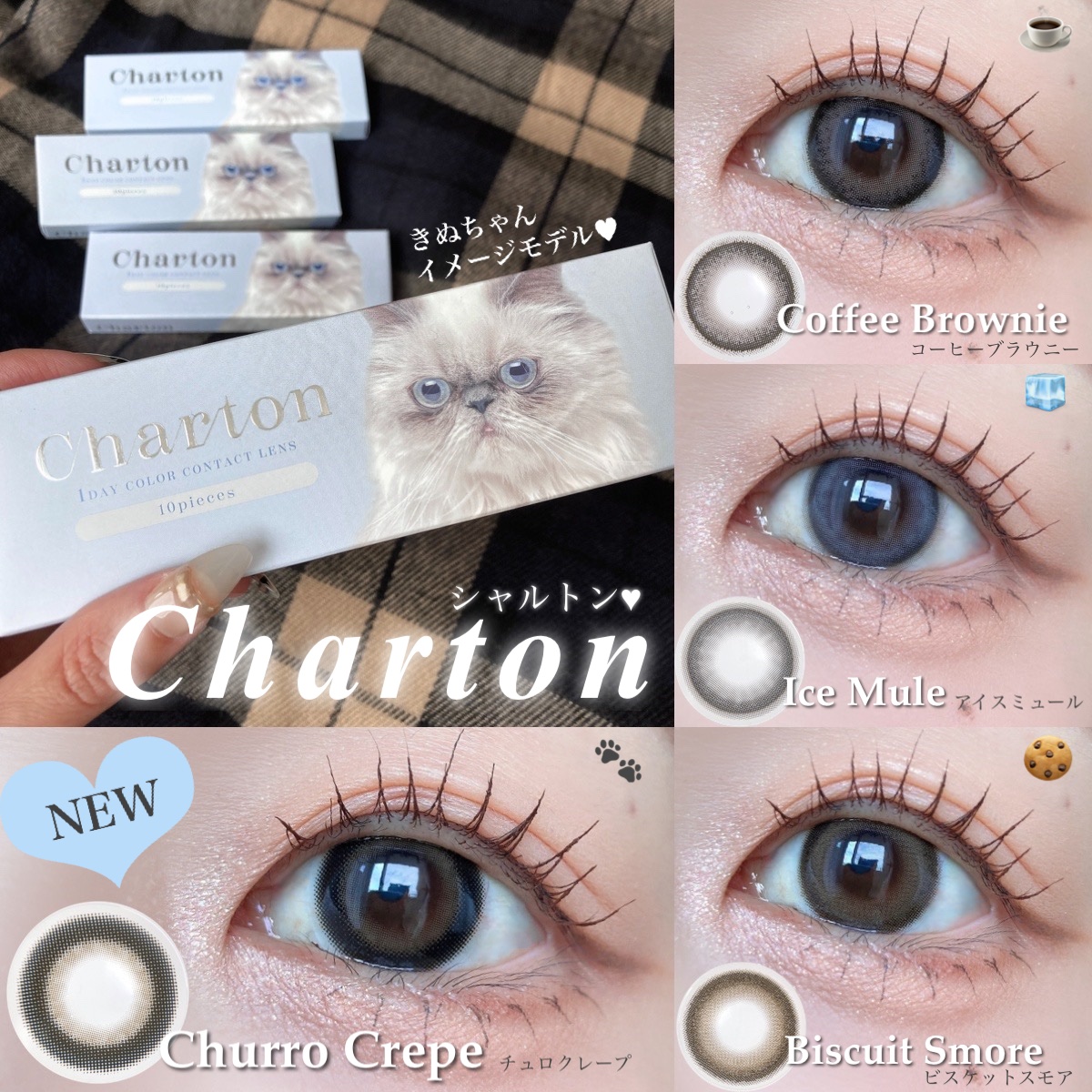 Charton 1day/Charton/ワンデー（１DAY）カラコンを使ったクチコミ（1枚目）