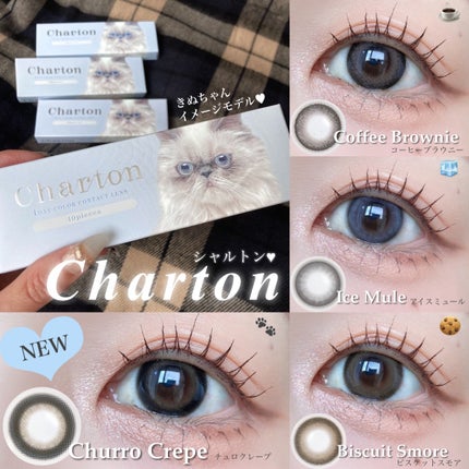 Charton 1day/Charton/ワンデー(1DAY)カラコンを使ったクチコミ(1枚目)