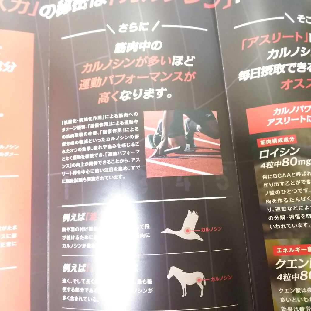 カルノパワー/ハマリの健康食品/健康サプリメントを使ったクチコミ（3枚目）