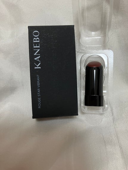 ルージュスターヴァイブラント/KANEBO/口紅を使ったクチコミ(2枚目)