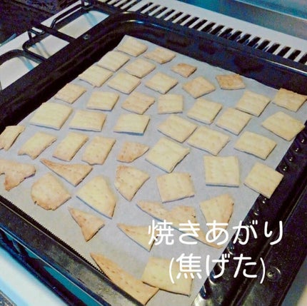 ぴよみふぃ on LIPS 「幸せの味、手作りクラッカー🐦LIPSで何やってんだって感じなん..」(5枚目)