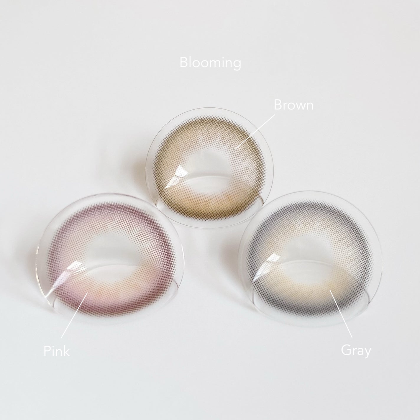 Blooming/too cool for school/1ヶ月(1MONTH)カラコンを使ったクチコミ(2枚目)