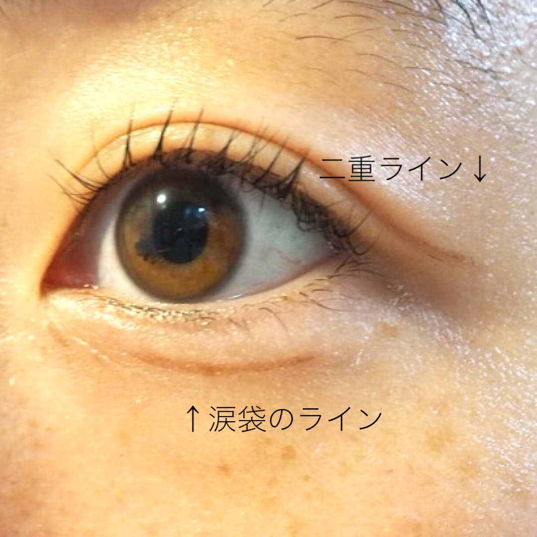 シルキーリキッドアイライナーWP アプリコットブラウン/D-UP/リキッドアイライナーを使ったクチコミ（3枚目）