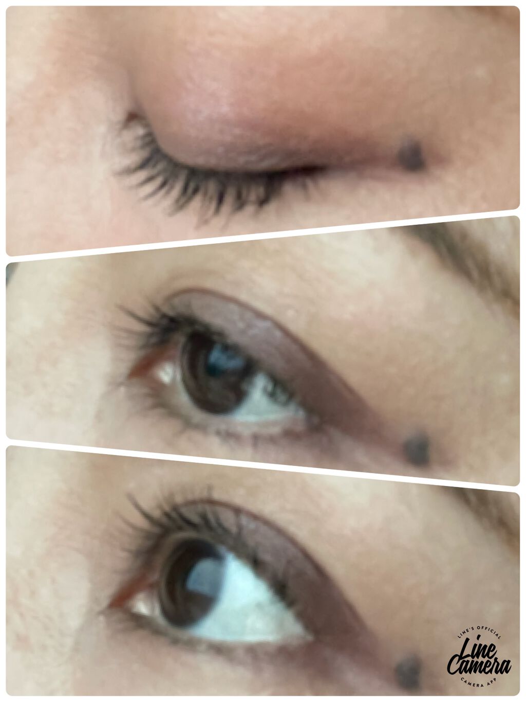 シグニチャー カラー アイズ/SUQQU/アイシャドウパレットを使ったクチコミ(2枚目)