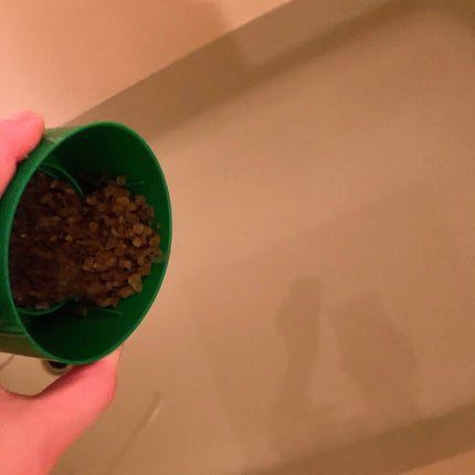 Ayur Time アーユルタイム シトラス&ベルガモットの香り/バスクリン/入浴剤を使ったクチコミ(6枚目)