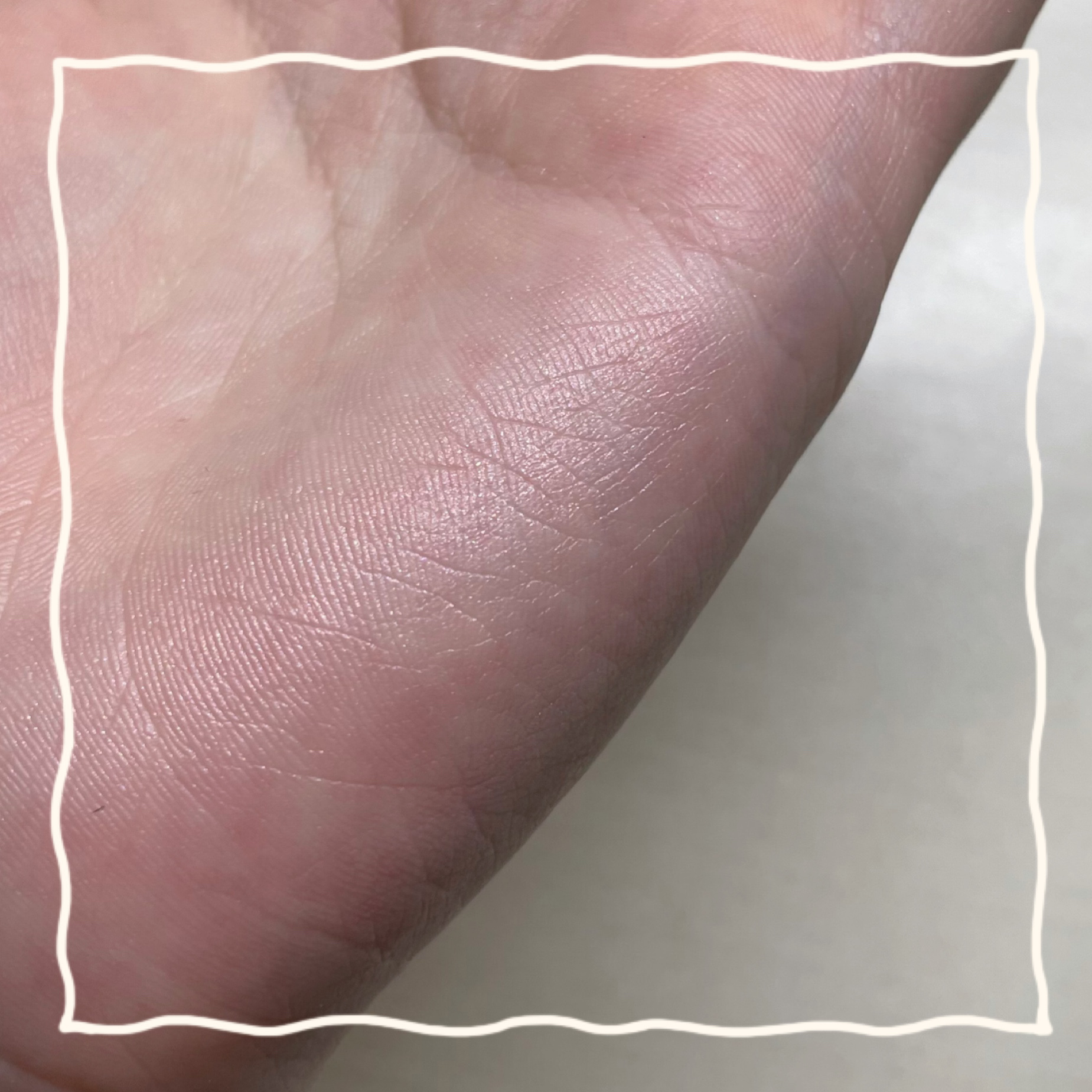 グロウフルールチークス（ブレンドタイプ） B02 ローズバレリーナ/キャンメイク/パウダーチークを使ったクチコミ（3枚目）