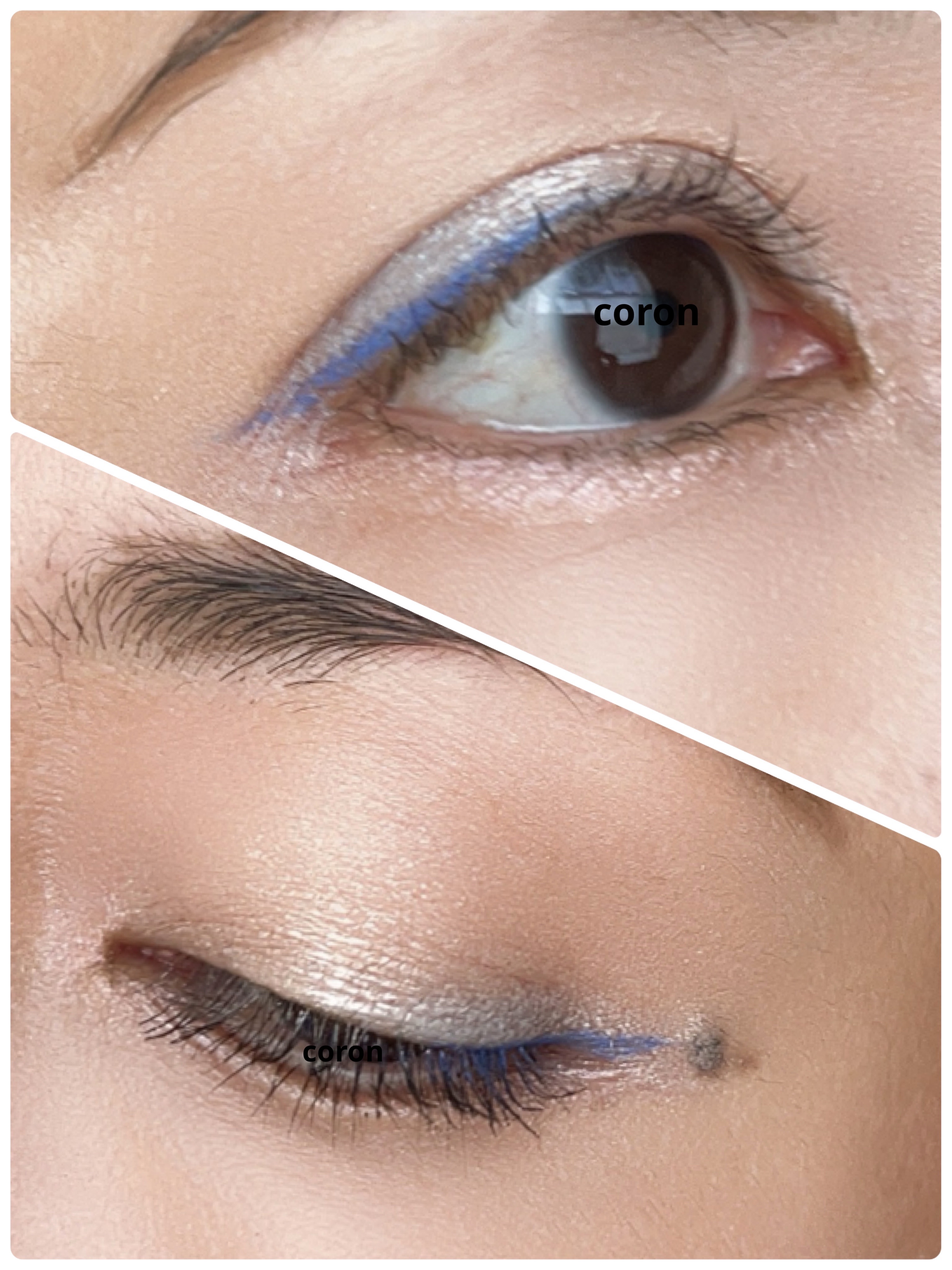 「塗るつけまつげ」ロングタイプ/デジャヴュ/マスカラを使ったクチコミ（2枚目）