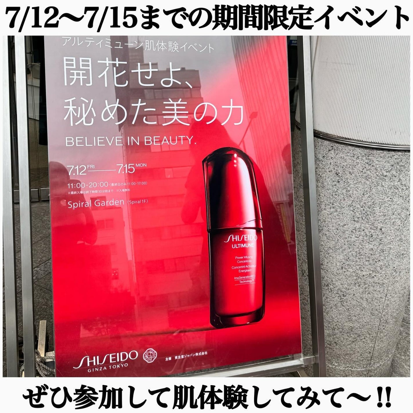 アルティミューン パワライジング コンセントレート Ⅲn/SHISEIDO/美容液を使ったクチコミ(8枚目)