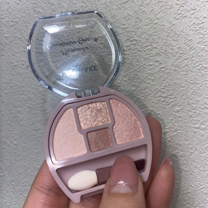 プランぷくコーデアイズ/キャンメイク/パウダーアイシャドウを使ったクチコミ(2枚目)