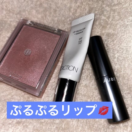 リッププロテクター + エッセンス/ADDICTION/リップ美容液を使ったクチコミ(1枚目)