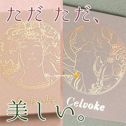 セルヴォーク ポリフォニックブラッシュ/Celvoke/パウダーチークを使ったクチコミ(1枚目)