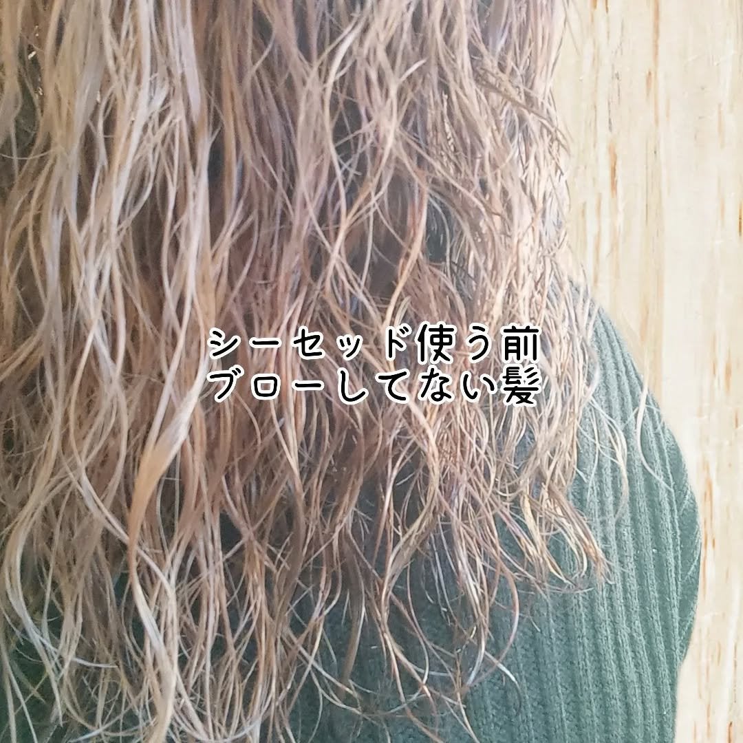 シーセッドクリームシャンプー&ヌーディヘアマスク/she said/サロンシャンプーを使ったクチコミ(3枚目)