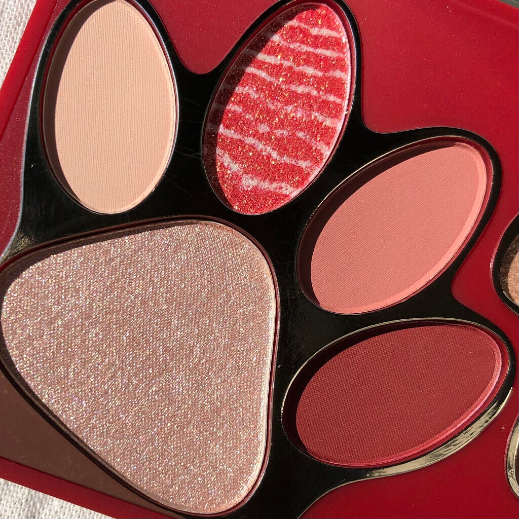 トラ十色アイシャドウパレット/COLORKEY/アイシャドウパレットを使ったクチコミ(4枚目)