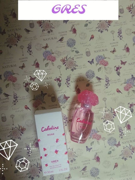 グレ カボティーヌ・ローズのクチコミ「グレ
カボティーヌ・ローズ
カボティーヌ・ローズ
柔らかな 感じの する 香り .....」(3枚目)