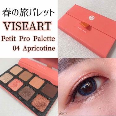 VISEART EyeShadow Palette Petit PROのクチコミ「\春夏にぴったりの旅パレット/
VISEART
Petit Pro Palette 
04 A.....」（1枚目）