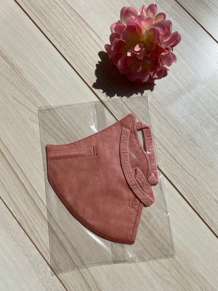 デイリーフィットマスク/アイリスオーヤマ/マスクを使ったクチコミ(2枚目)