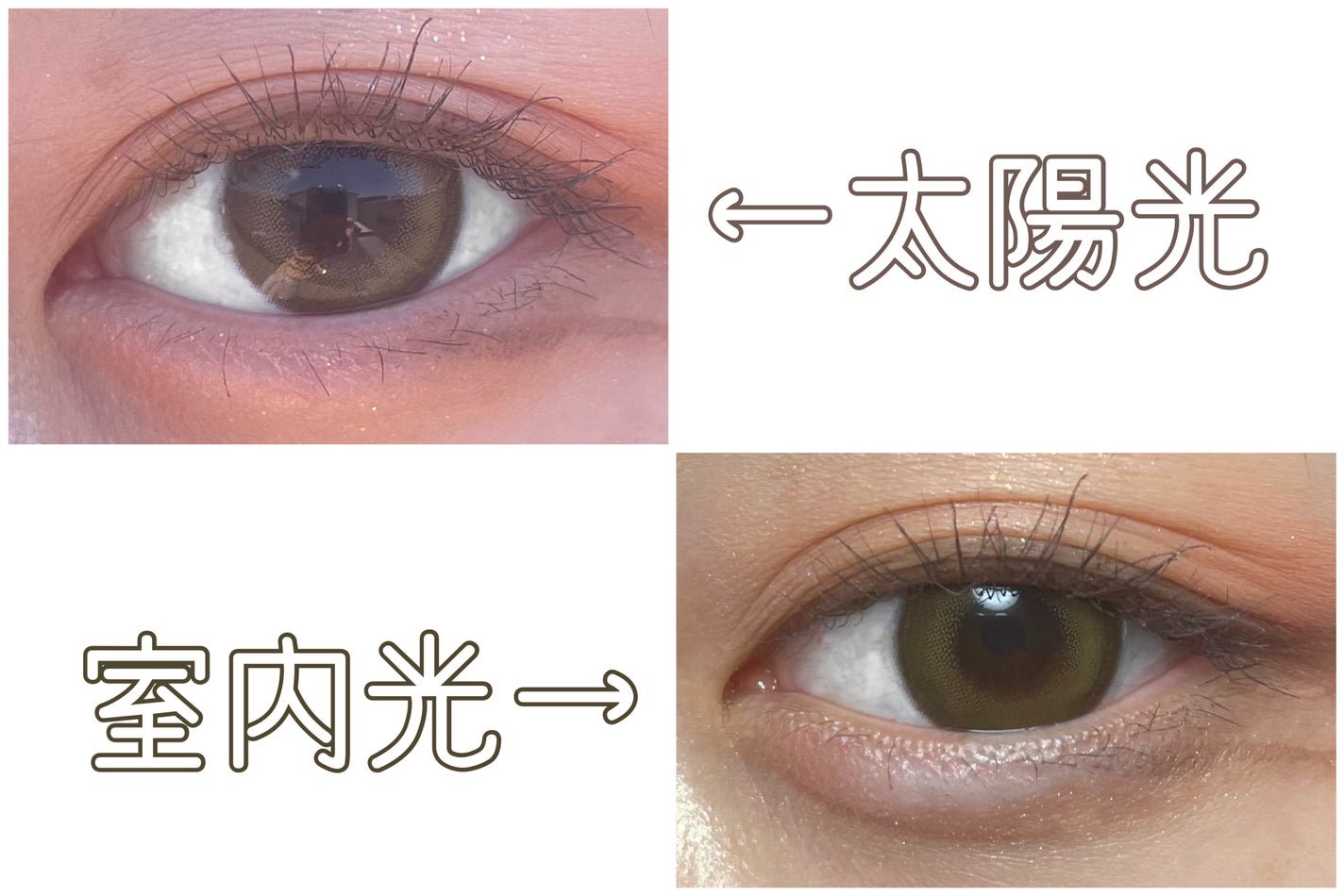 Angelcolor Bambi Series 1day /AngelColor/ワンデー(1DAY)カラコンを使ったクチコミ(2枚目)