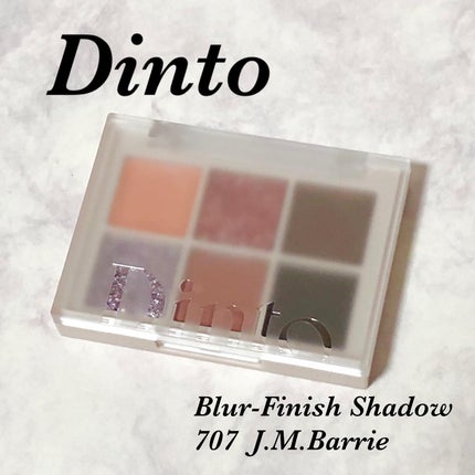 ブラーフィニシュシャドウパレット/Dinto/アイシャドウパレットを使ったクチコミ(1枚目)