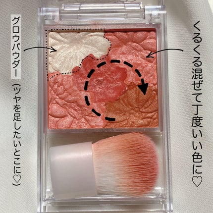 グロウフルールチークス 03 フェアリーオレンジフルール/キャンメイク/パウダーチークを使ったクチコミ(2枚目)