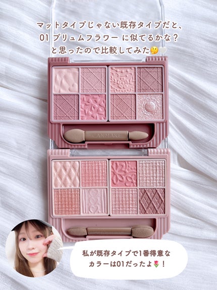 ããã£ãã¬ããã¢ã€ãºïŒãããã¿ã€ãïŒ/ãã£ã³ã¡ã€ã¯/ããŠããŒã¢ã€ã·ã£ããŠã䜿ã£ãã¯ãã³ãïŒ5æç®ïŒ