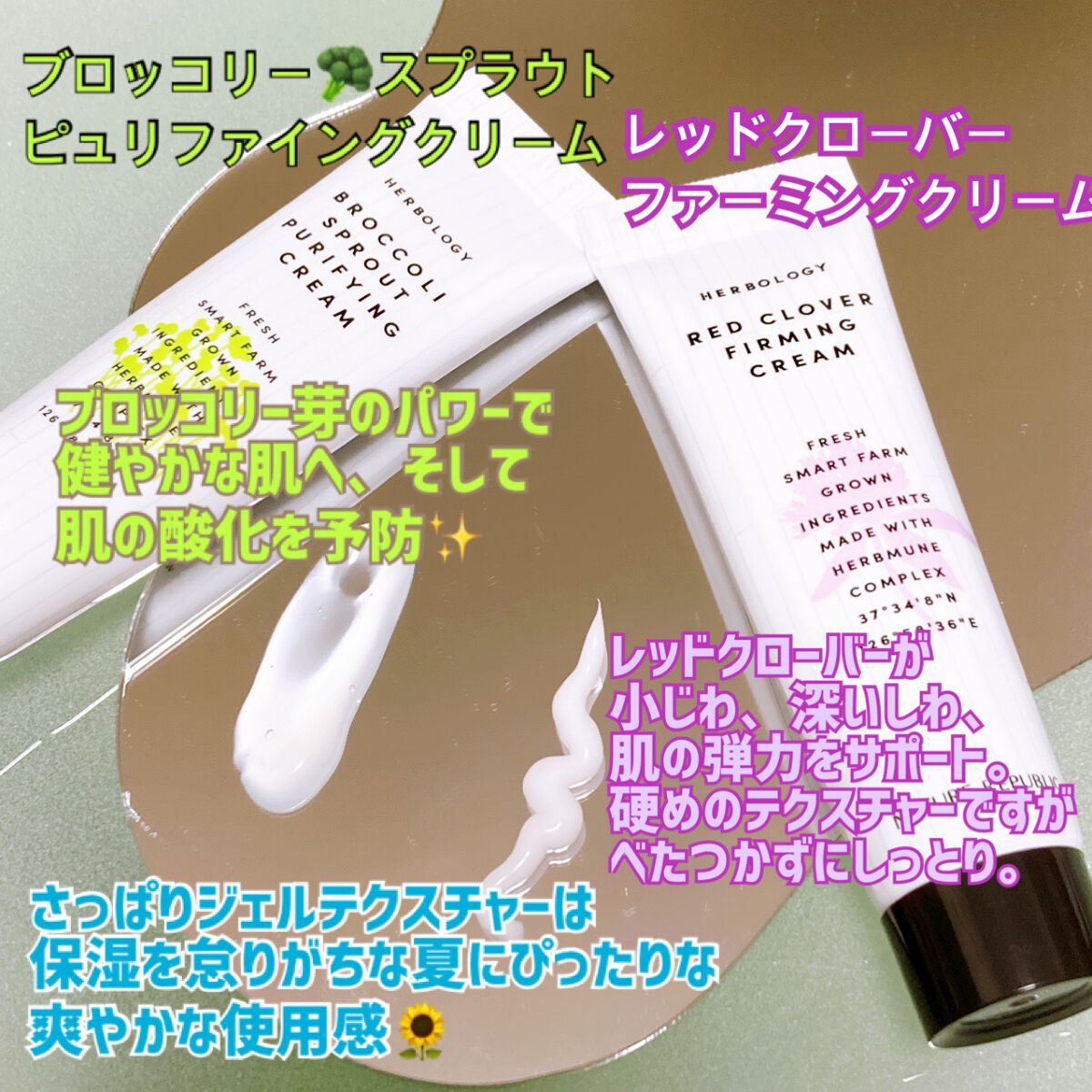 モロヘイヤディープモイスチャークリーム/ネイチャーリパブリック/フェイスクリームを使ったクチコミ(5枚目)