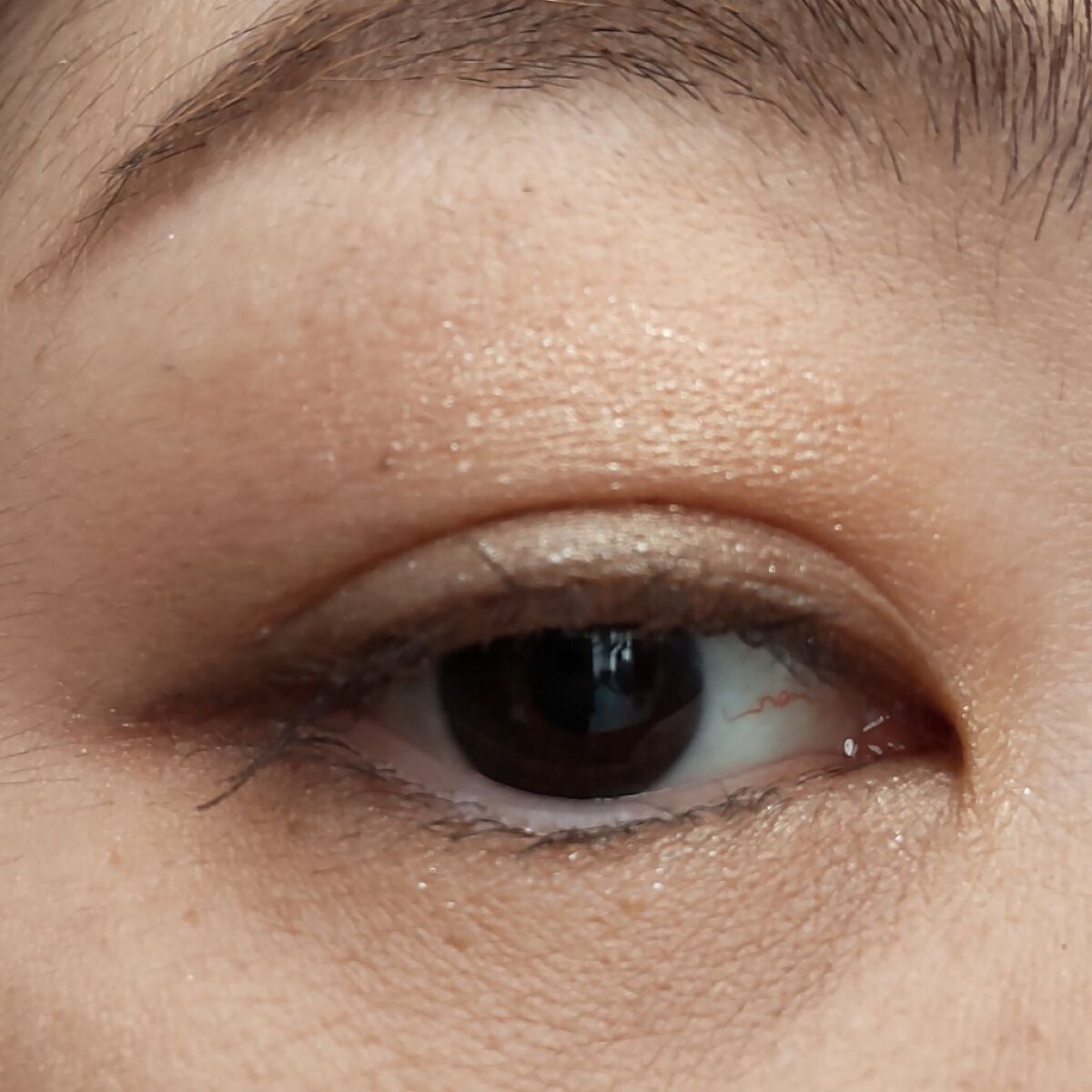 アイカラーレーション/LUNASOL/アイシャドウパレットを使ったクチコミ（3枚目）