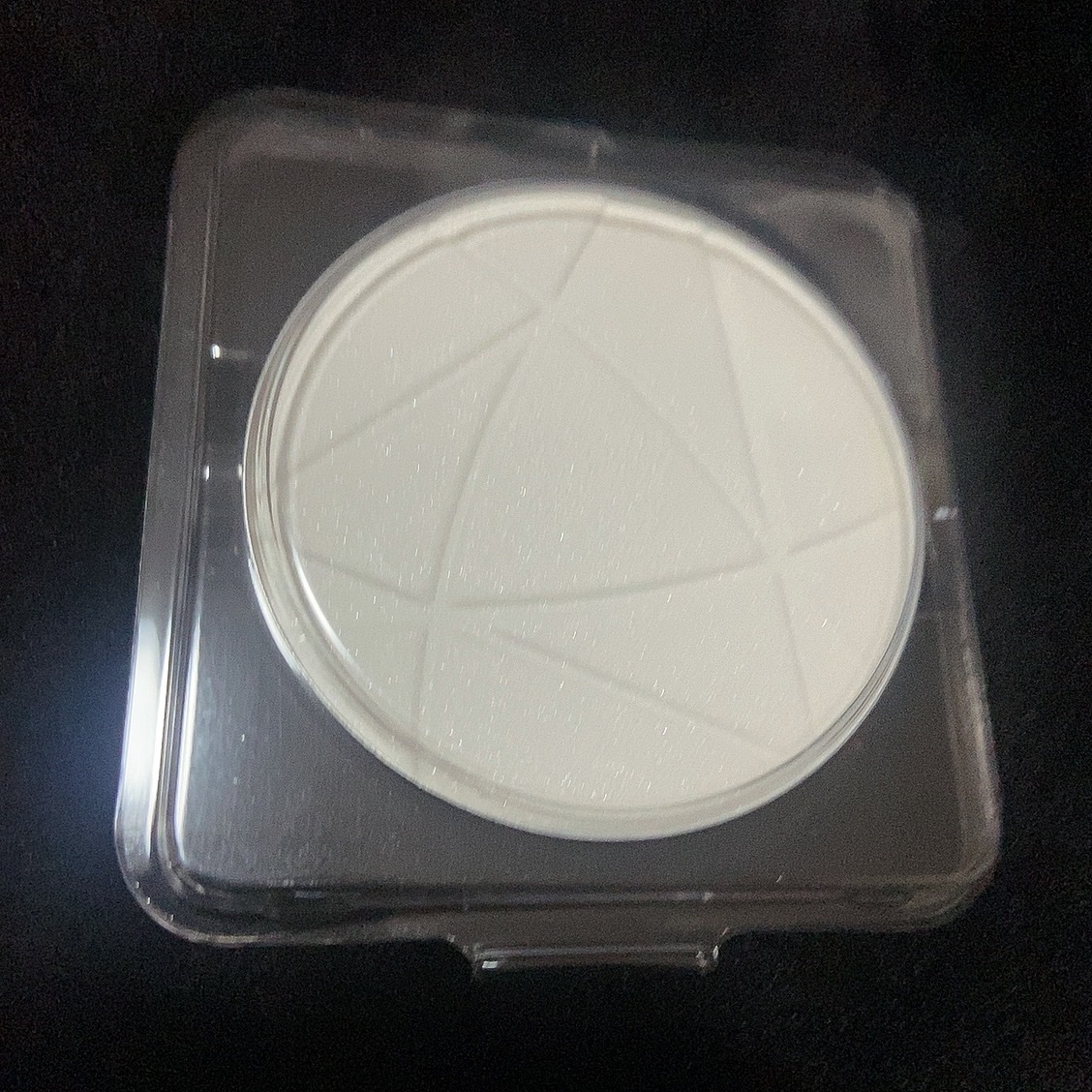 毛穴レスパウダー 毛穴レスパウダー〈詰替〉/CEZANNE/プレストパウダーを使ったクチコミ（3枚目）