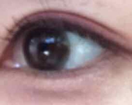 【旧品】パーフェクトスタイリストアイズ/キャンメイク/アイシャドウパレットを使ったクチコミ(1枚目)