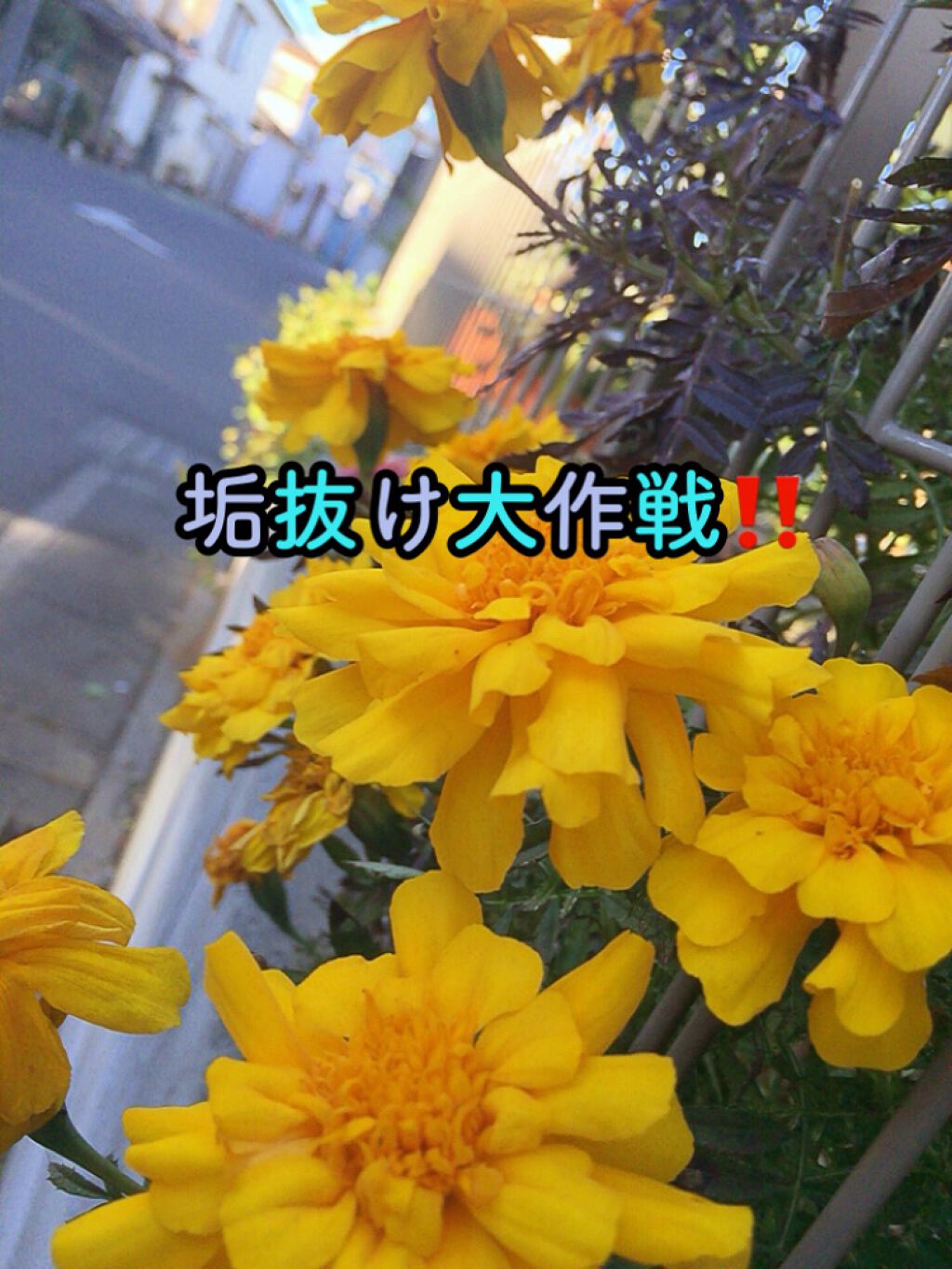 マジックバブルエッセンスパック（ピンク） /BAKER7/洗い流すパック・マスクを使ったクチコミ（1枚目）