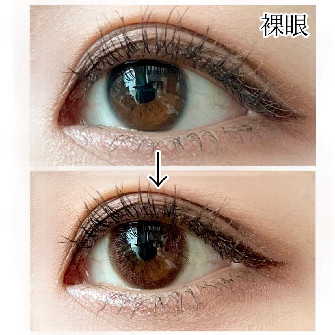 LuMia comfort 1day CIRCLE メロウカーキ/LuMia/ワンデー（１DAY）カラコンを使ったクチコミ（3枚目）